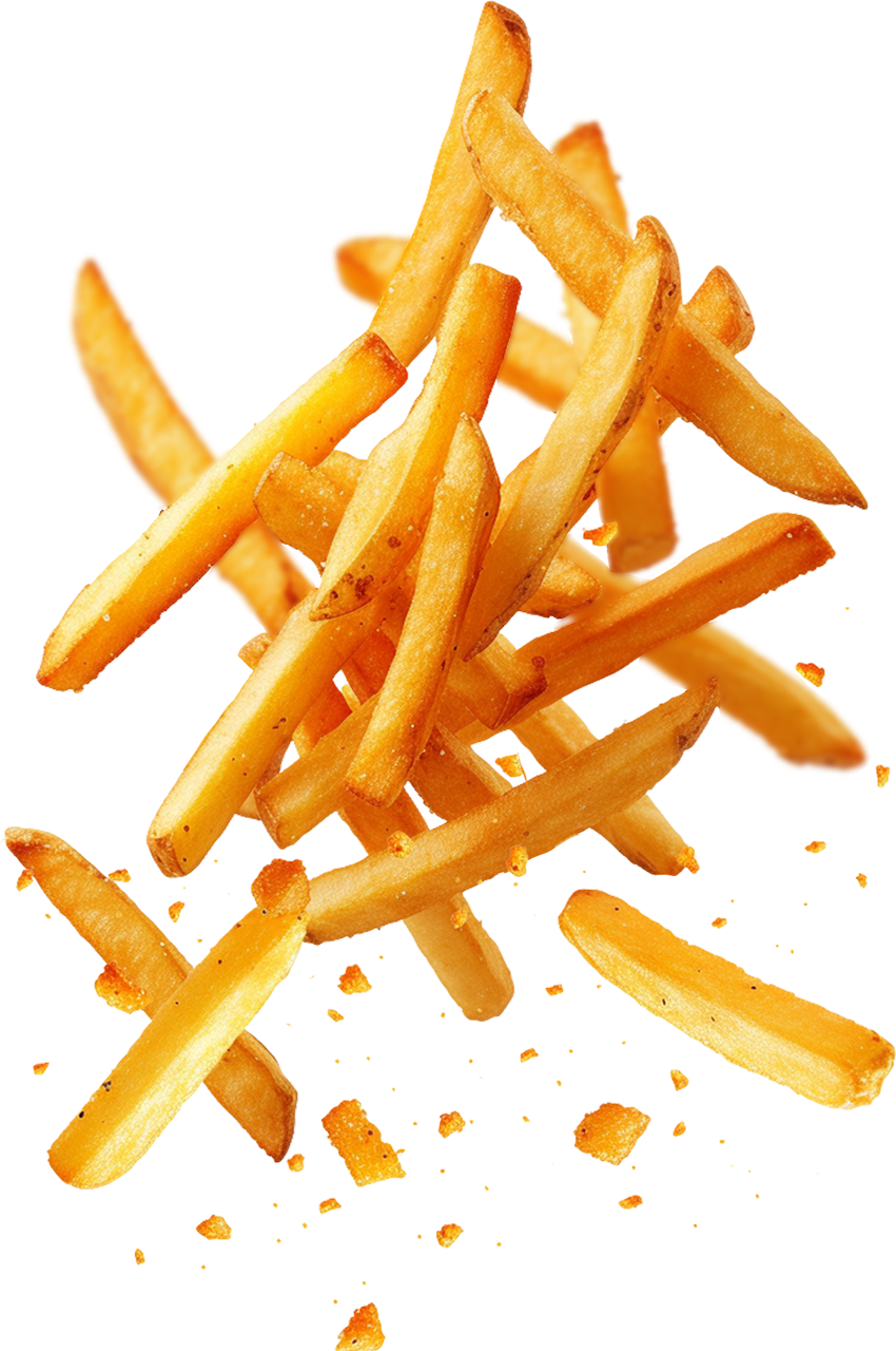dipit_fries